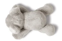 MagNICI Koala Kaola