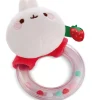 Rasselring MOLANG